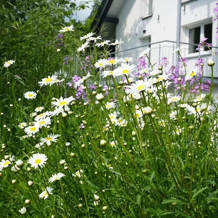Loft Island Leutkirch Isny Im Allgäu